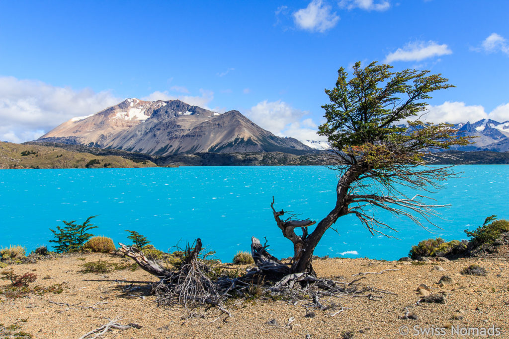 Belgrano See im Perito Moreno Nationalpark