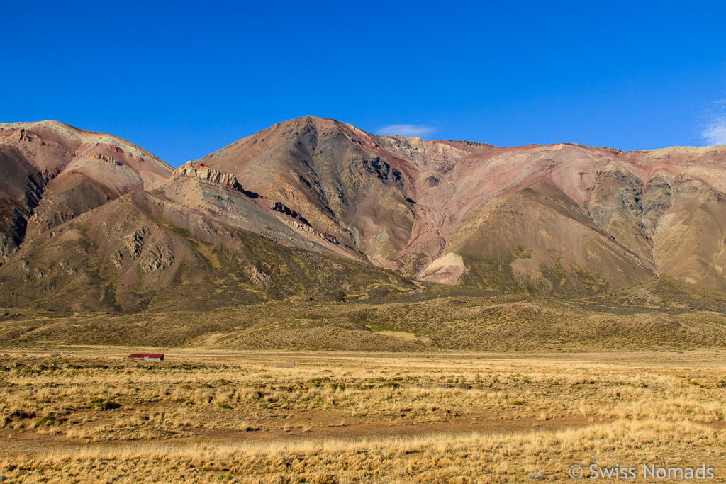 Steppe im Perito Moreno Nationalpark
