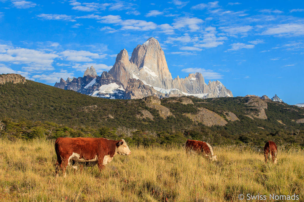 Wanderung zur Laguna Torre
