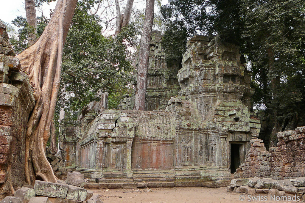 Ta Prohm Tempel