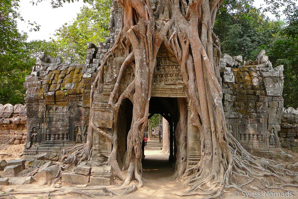 Ta Som bietet ein Top Fotomotiv von Angkor