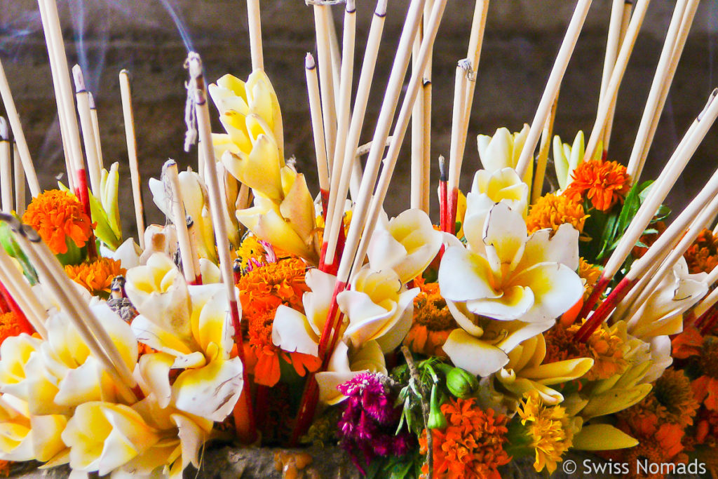 Blumen am Pi Mai Lao in Luang Prabang