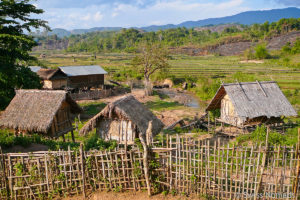 Mehr über den Artikel erfahren Trekking in Luang Namtha durch den Dschungel im Norden von Laos