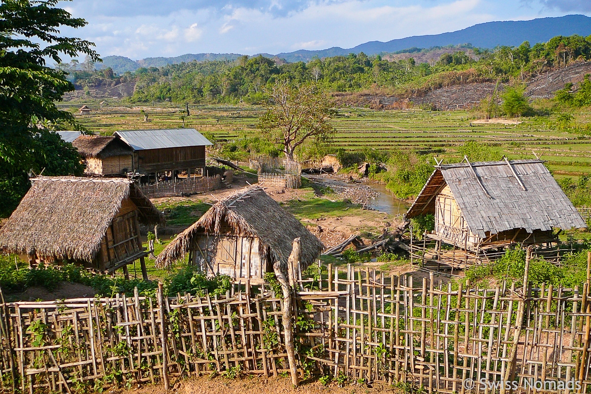 You are currently viewing Trekking in Luang Namtha durch den Dschungel im Norden von Laos