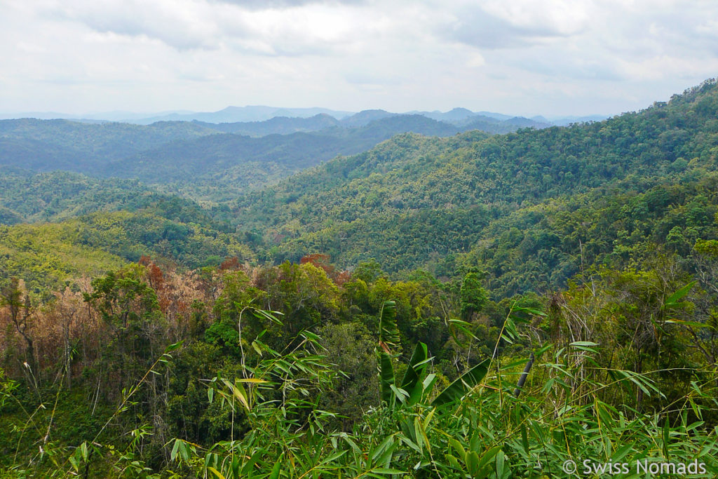 Trekking in Luang Namtha durch den Urwald