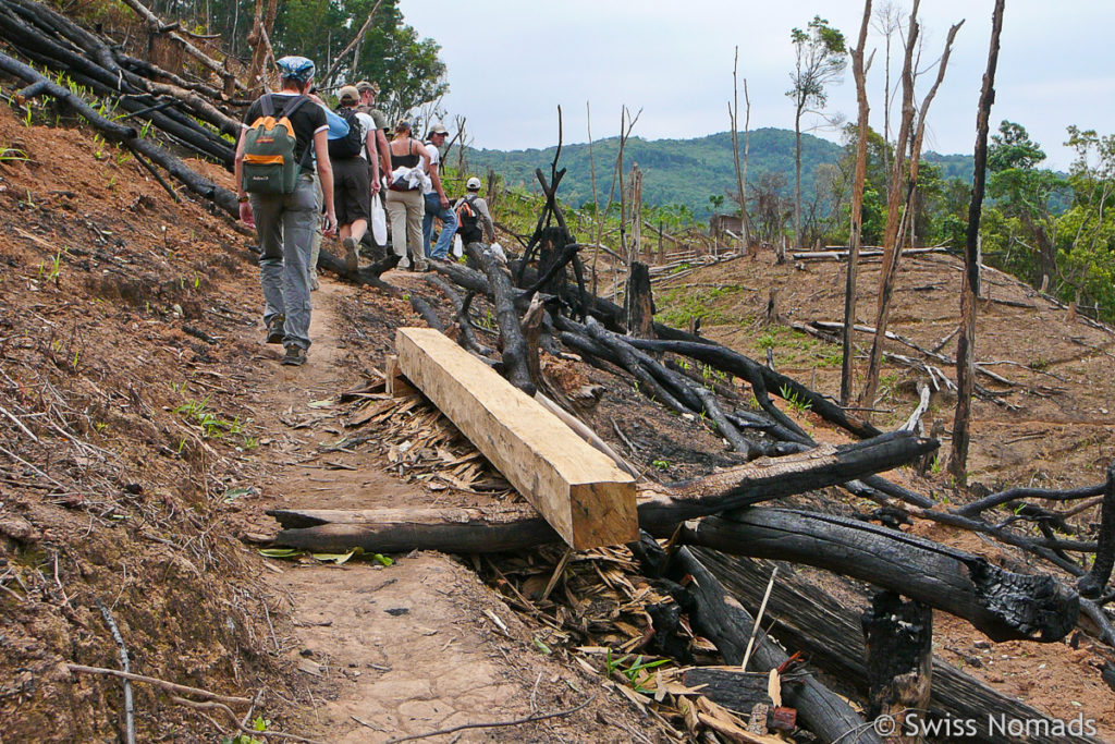 Weg beim Trekking in Luang Namtha 