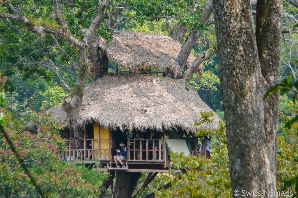 Gibbon Experience Baumhaus-3