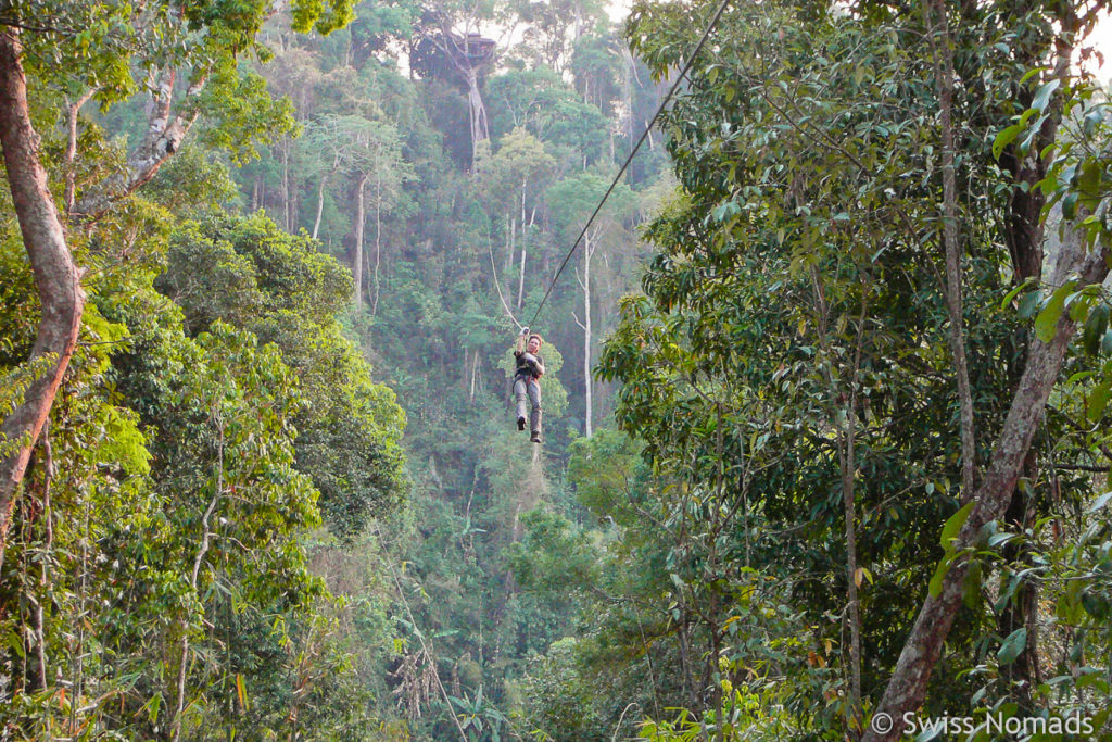 Zipline der Gibbon Experience in Laos 