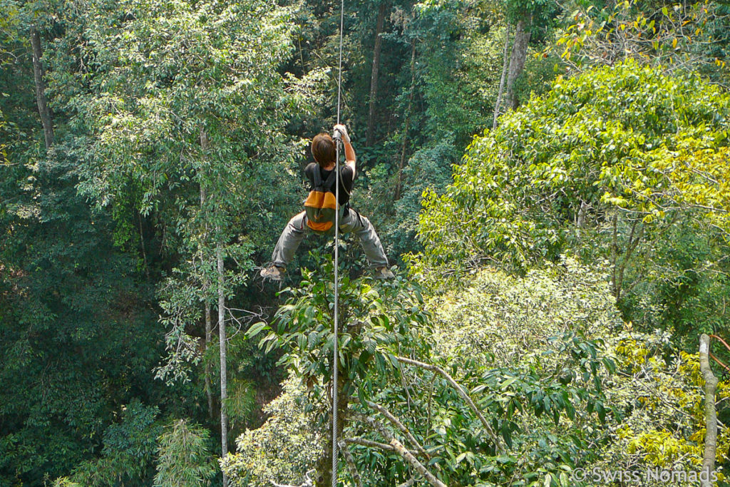Zipline der Gibbon Experience in Laos 