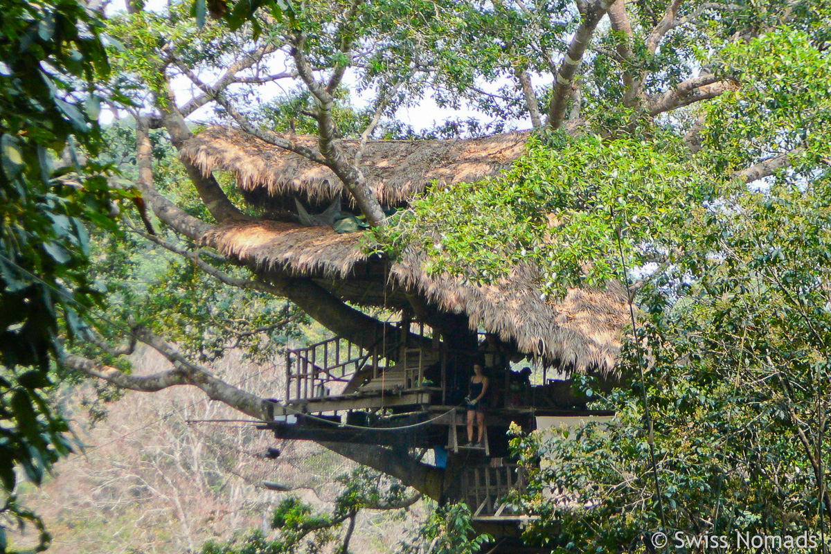 Mehr über den Artikel erfahren Gibbon Experience in Laos – Schlafen im Baumhaus auf 40 Metern Höhe