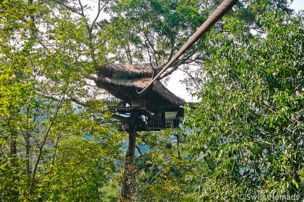 Gibbon Experience Zipline zum Baumhaus