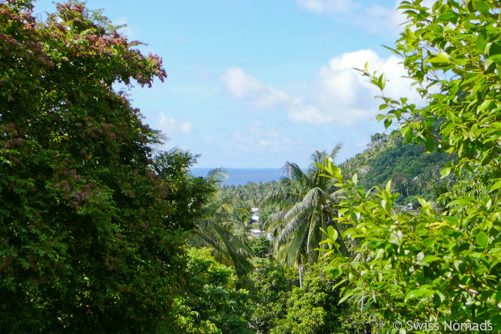 Aussicht vom Bungalow auf Koh Tao Thailand