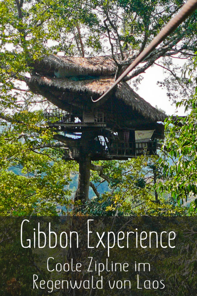 Gibbon Experience in Laos