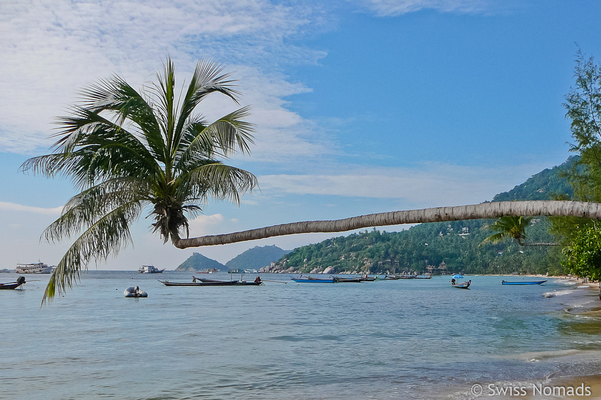 Mehr über den Artikel erfahren Tauchen auf Koh Tao und die Ausbildung zum Tauchlehrer in Thailand