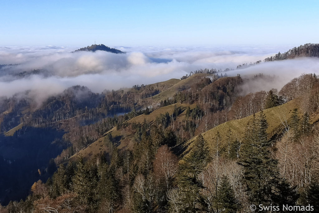 Aussicht auf das Hörnli