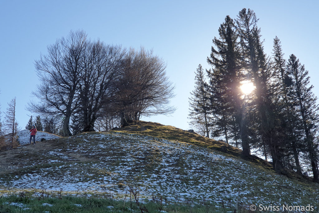 Gratwanderung aufs Schnebelhorn