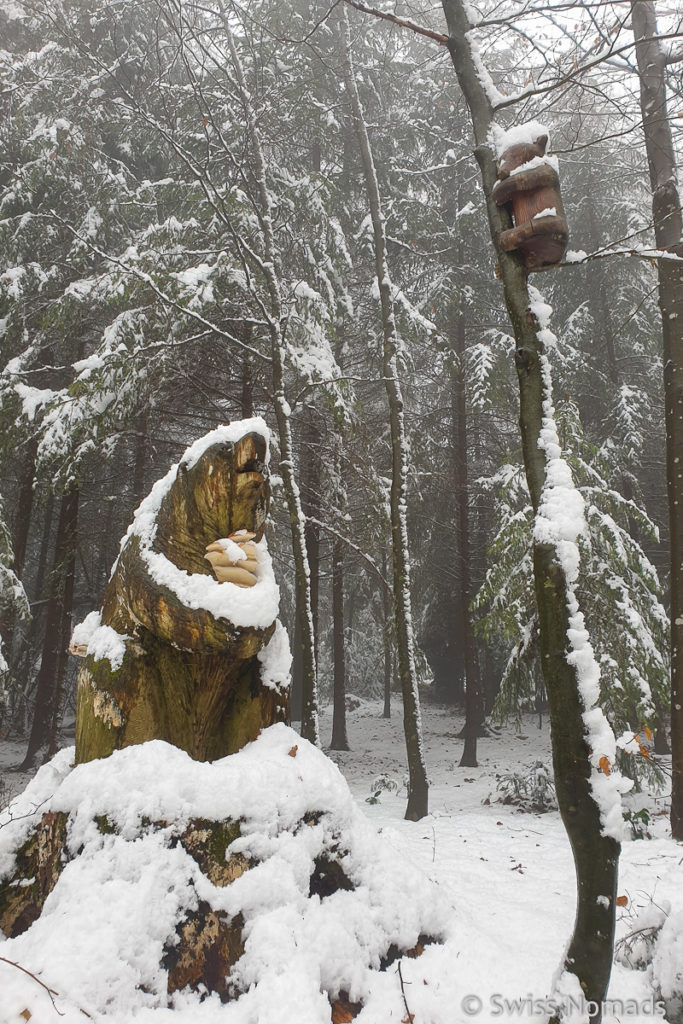 Kunst im Wald Rooset in Sirnach