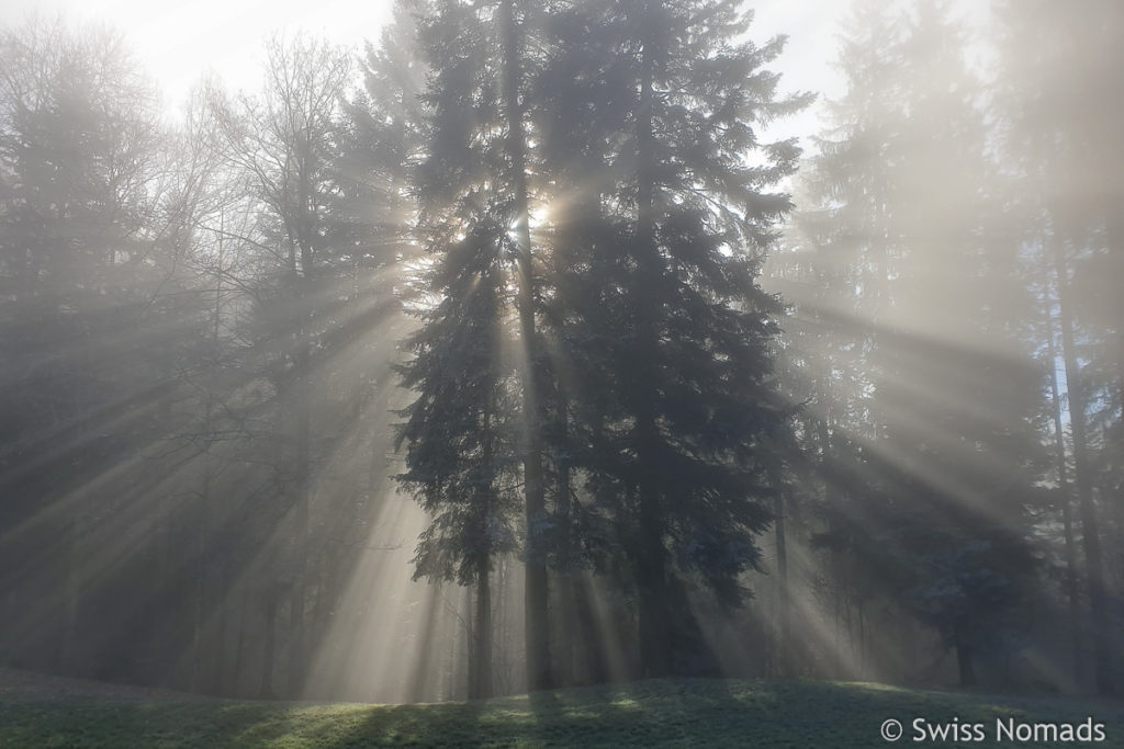 Lichtspiele mit Nebel