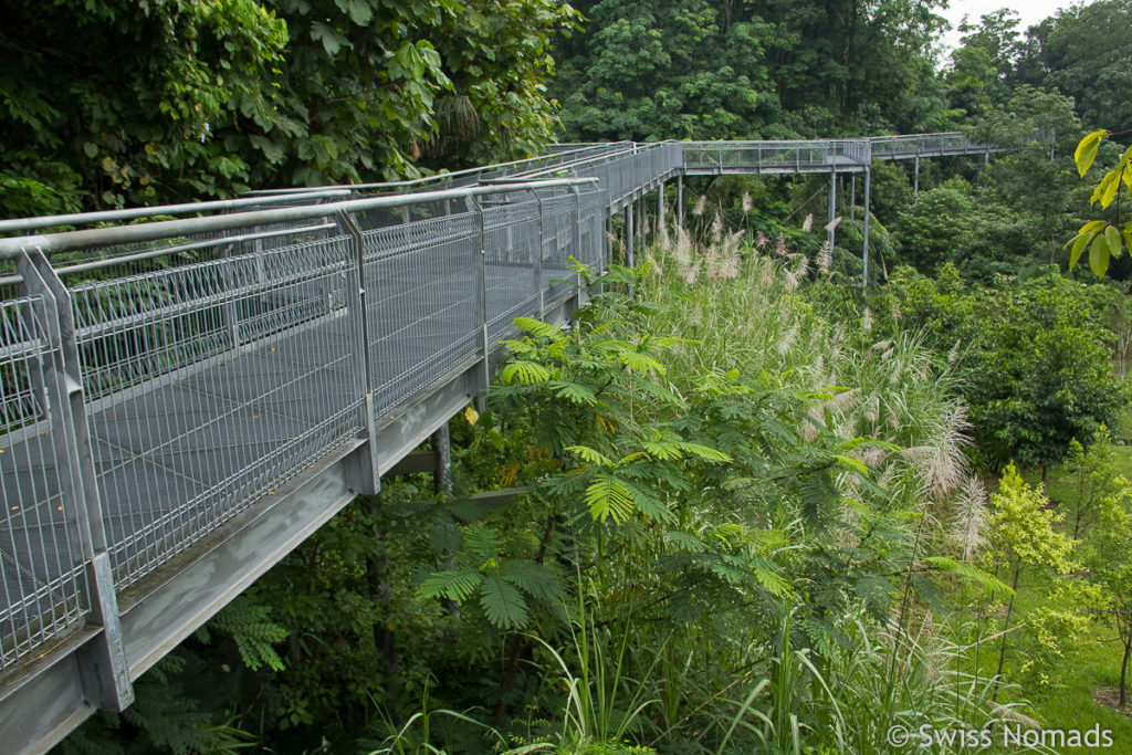 Southern Ridges Walk in Singapur