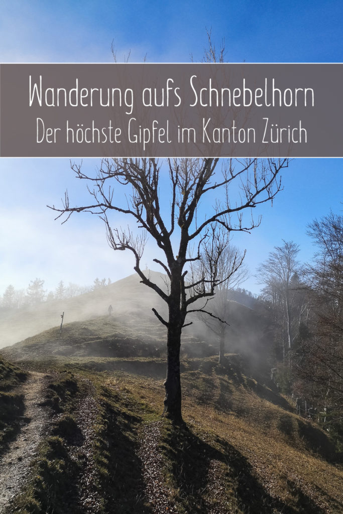 Wanderung aufs Schnebelhorn Pinterest