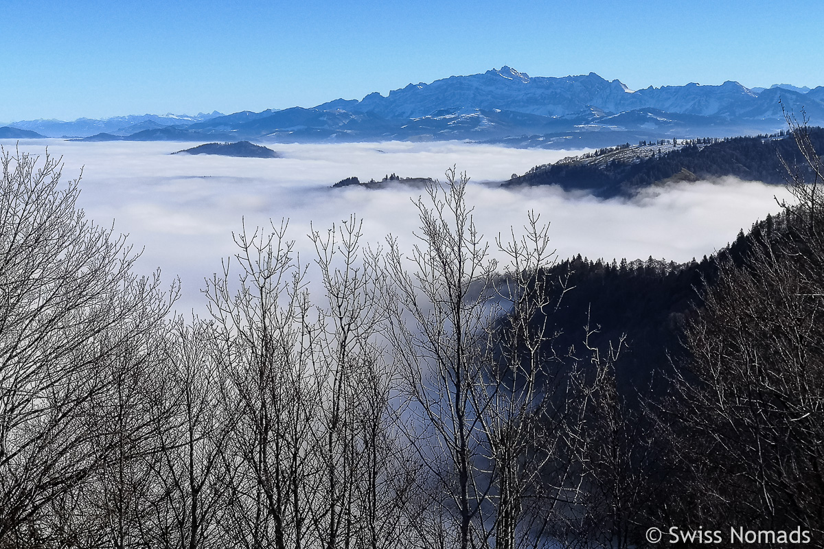 Du betrachtest gerade Wanderung aufs Schnebelhorn – Freiheit über den Wolken