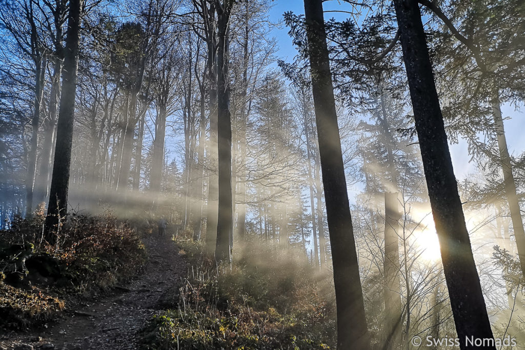 Wanderweg zum Schnebelhorn