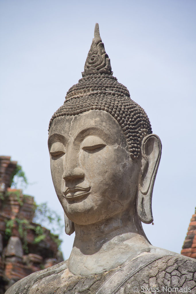 Buddha Kopf im Wat Mahathat in Ayutthaya 