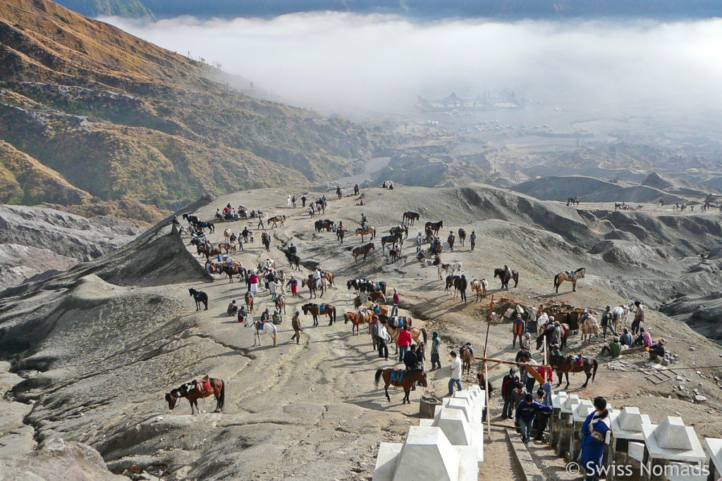 Pferde beim Aufstieg zum Bromo 