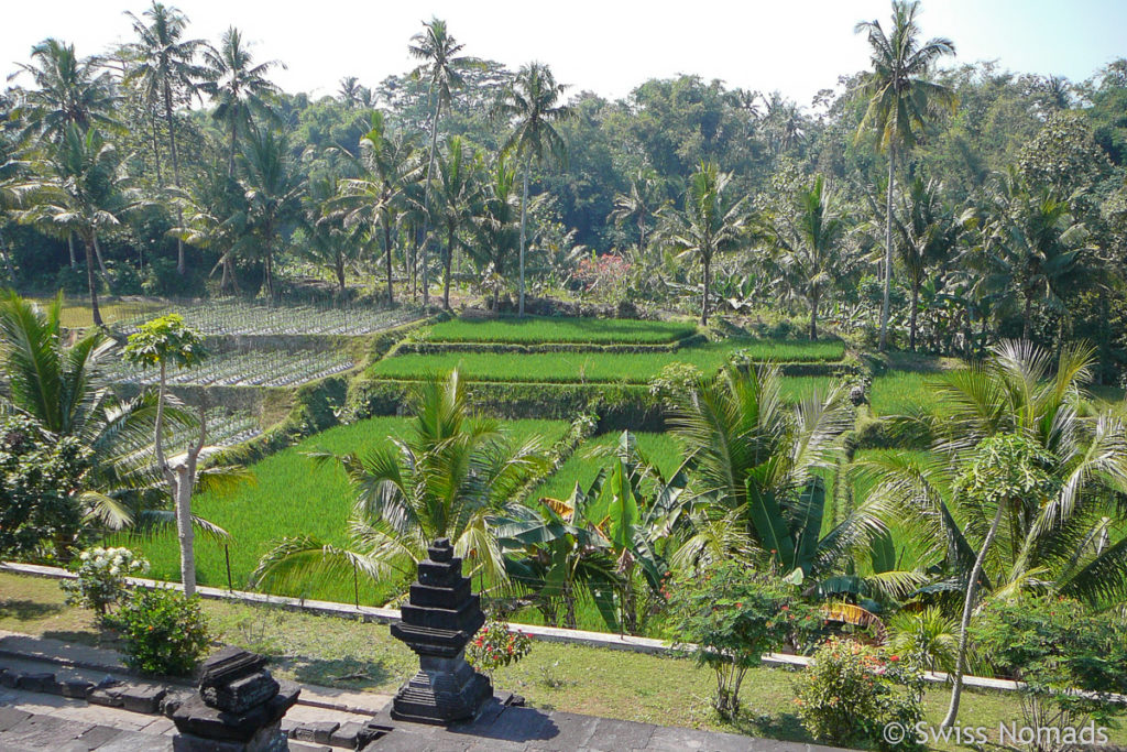 Umgebung des Candi Penataran bei Blitar in Ost-Java