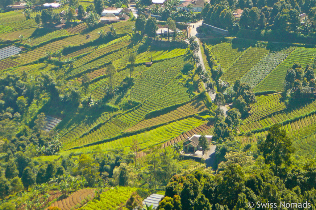 Aussicht vom Candi Sukuh auf Zentral-Java 