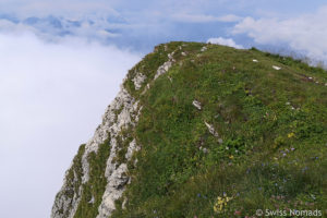 Mehr über den Artikel erfahren Leistchamm Wanderung – Von Amden-Arvenbüel auf den höchsten Ammler Berg