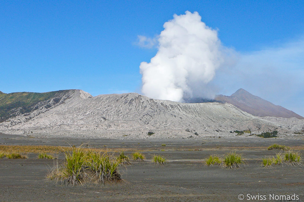 Mount Bromo mit Dampfwolke