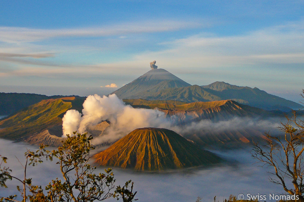 Sonnenaufgang am Bromo und Semeru mit Aschewolke