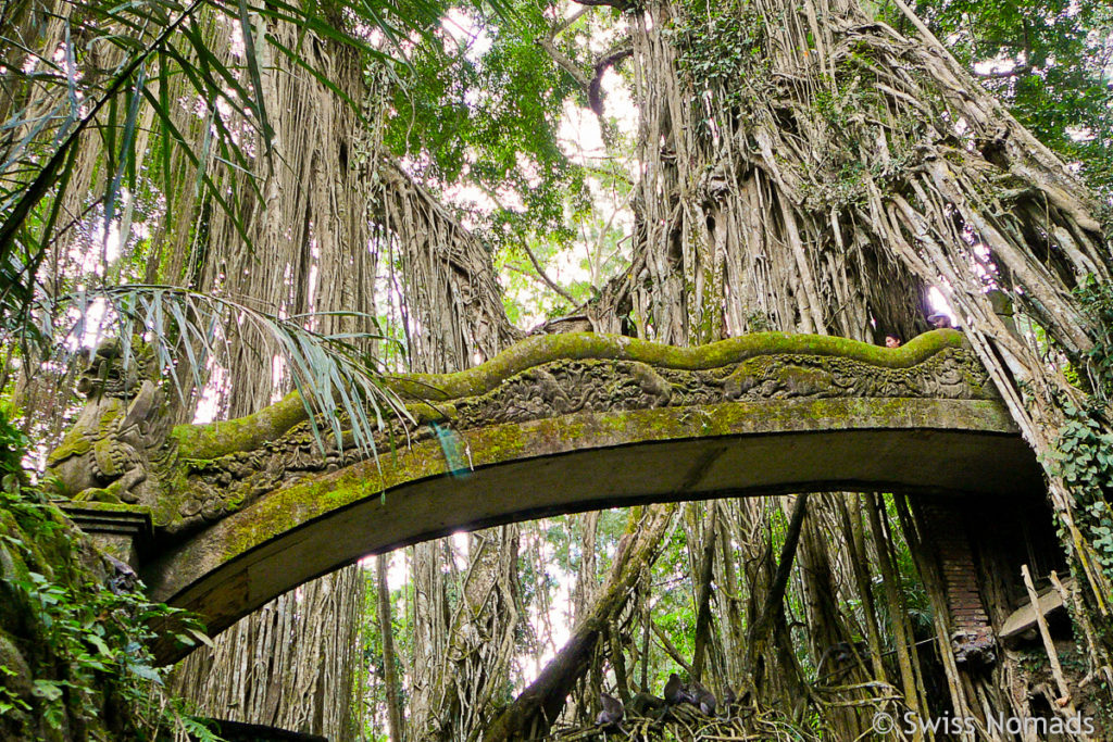 Drachenbrücke im Monkey Forest in Ubud