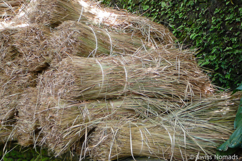 Gras für traditionelles Dach in Ubud