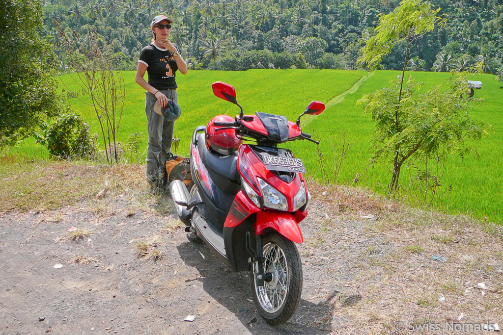 Mayong Reisterrassen in Nord Bali