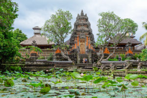 Read more about the article Ubud Sehenswürdigkeiten auf Bali – Unsere Tipps und Highlights