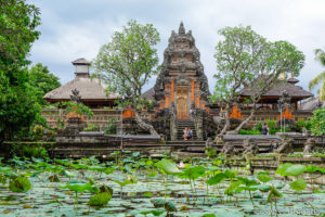 Mehr über den Artikel erfahren Ubud Sehenswürdigkeiten auf Bali – Unsere Tipps und Highlights