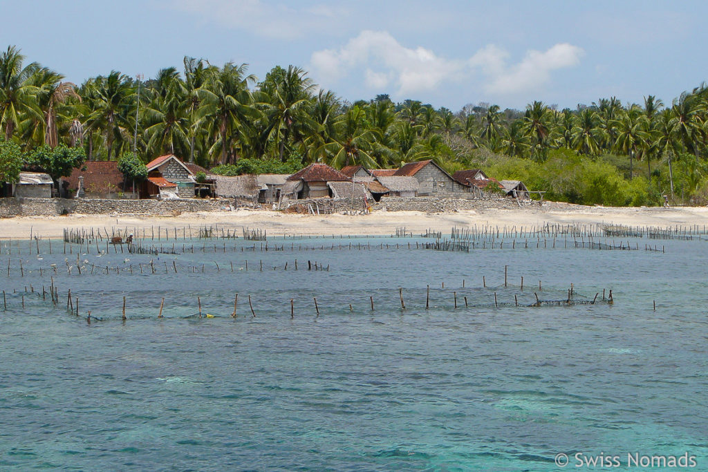 Algen Garten auf Nusa Ceningan