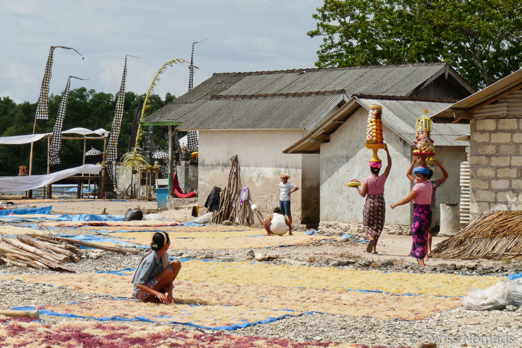 Algen trocknen auf Nusa Lembongan