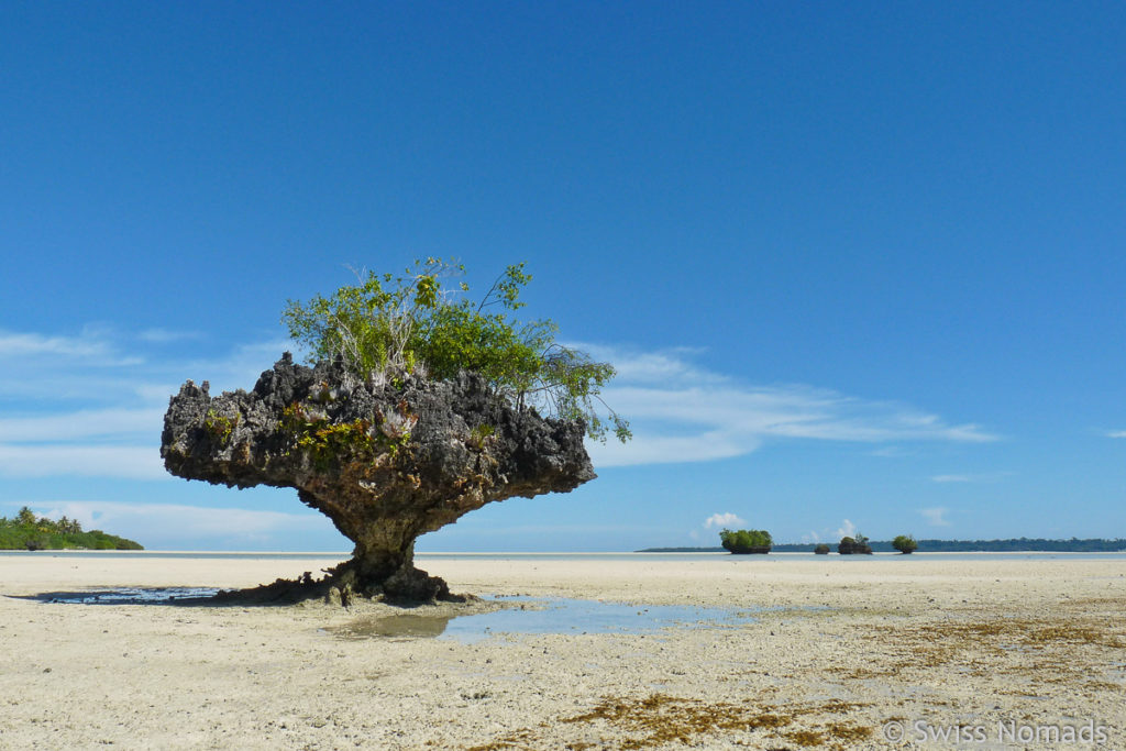 Korallen Felsen beim Nabucco Island Resort