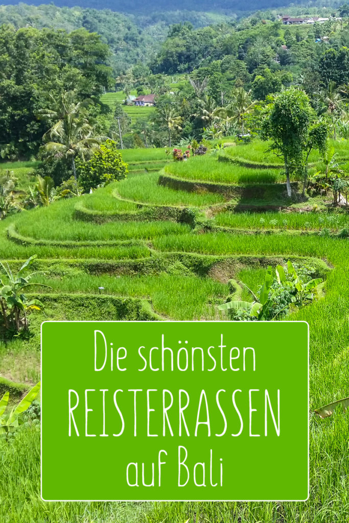 Die schönsten Reisterrassen auf Bali