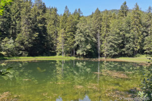 Mehr über den Artikel erfahren Idyllisches Forstseeli – Wanderung ab Eggerstanden im Appenzellerland