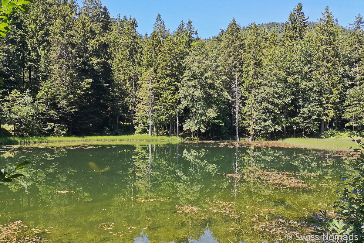 Read more about the article Idyllisches Forstseeli – Wanderung ab Eggerstanden im Appenzellerland