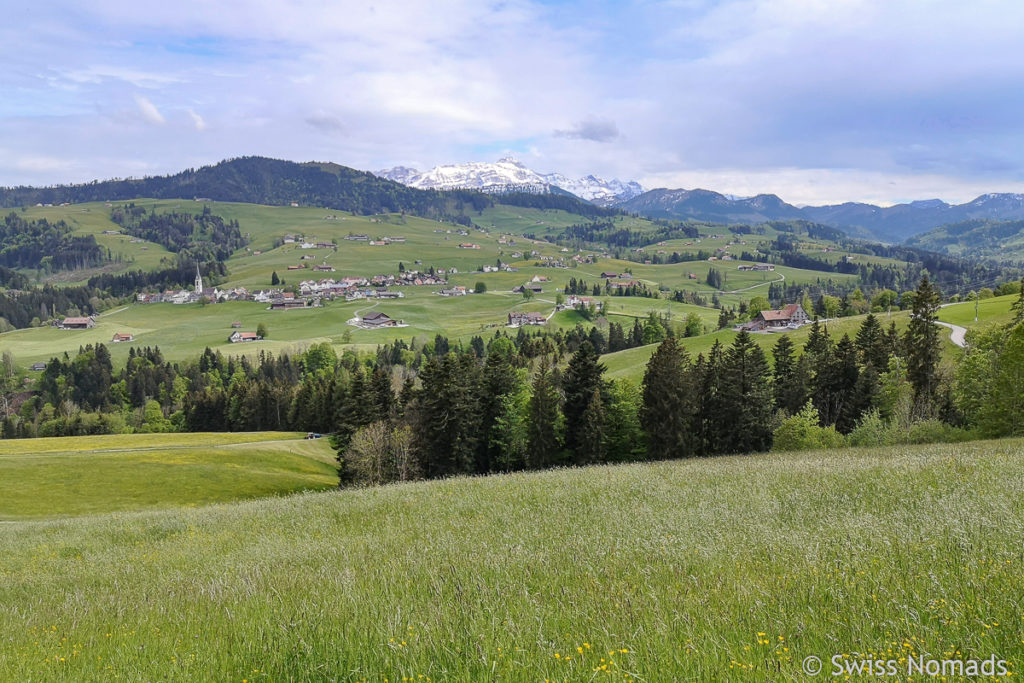 Aussicht auf den Säntis