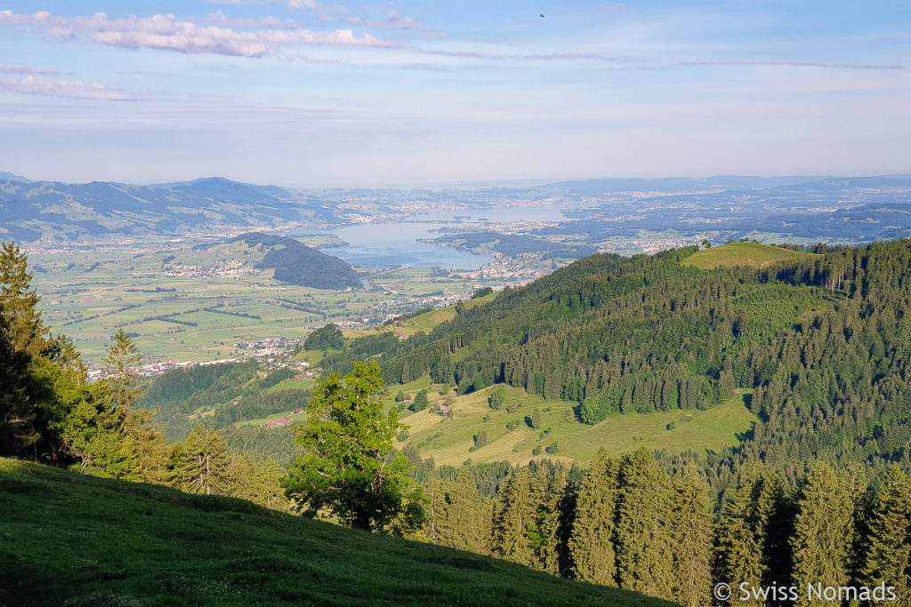 Aussicht auf den Zürichsee