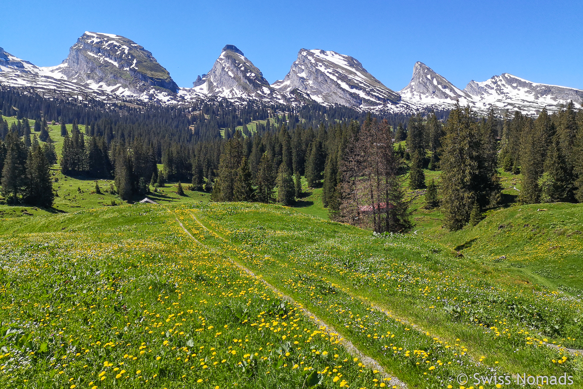 You are currently viewing Toggenburger Höhenweg – Mehrtageswanderung von Wildhaus nach Wil