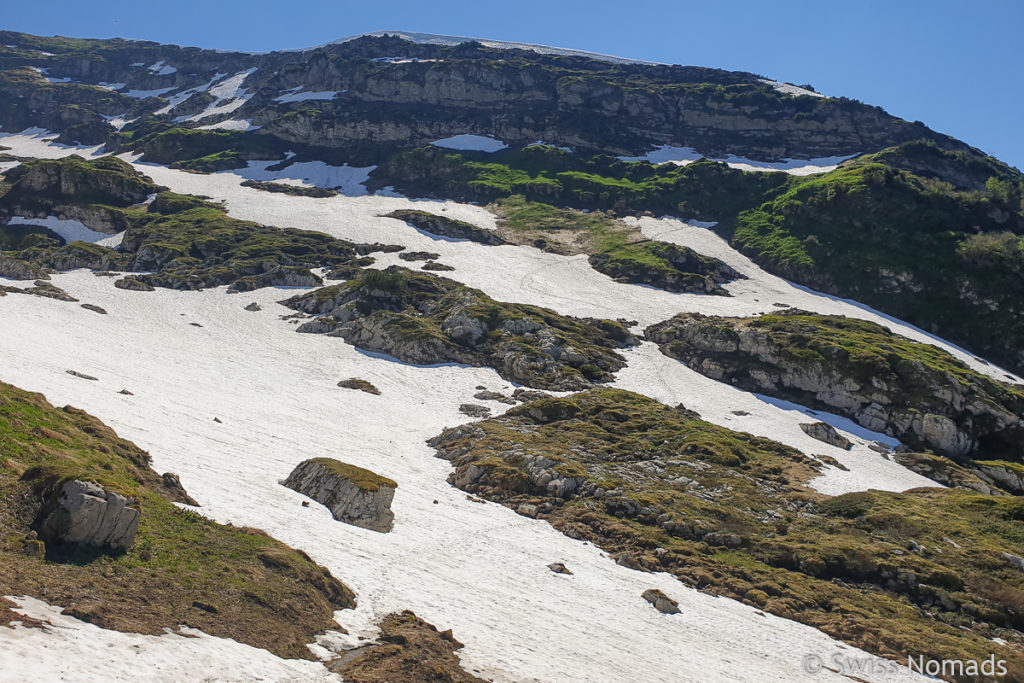 Tritt auf dem Toggenburger Höhenweg