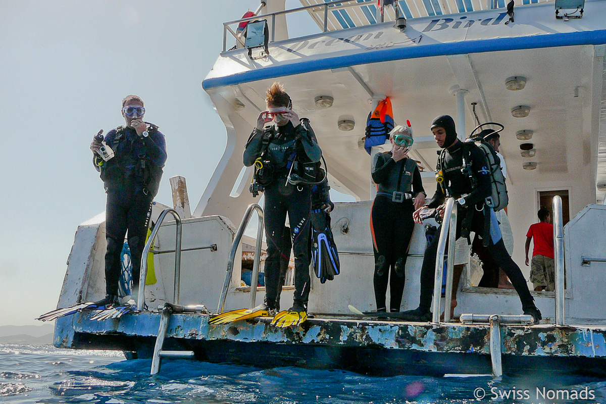 You are currently viewing Tauchen bei Marsa Alam in Ägypten