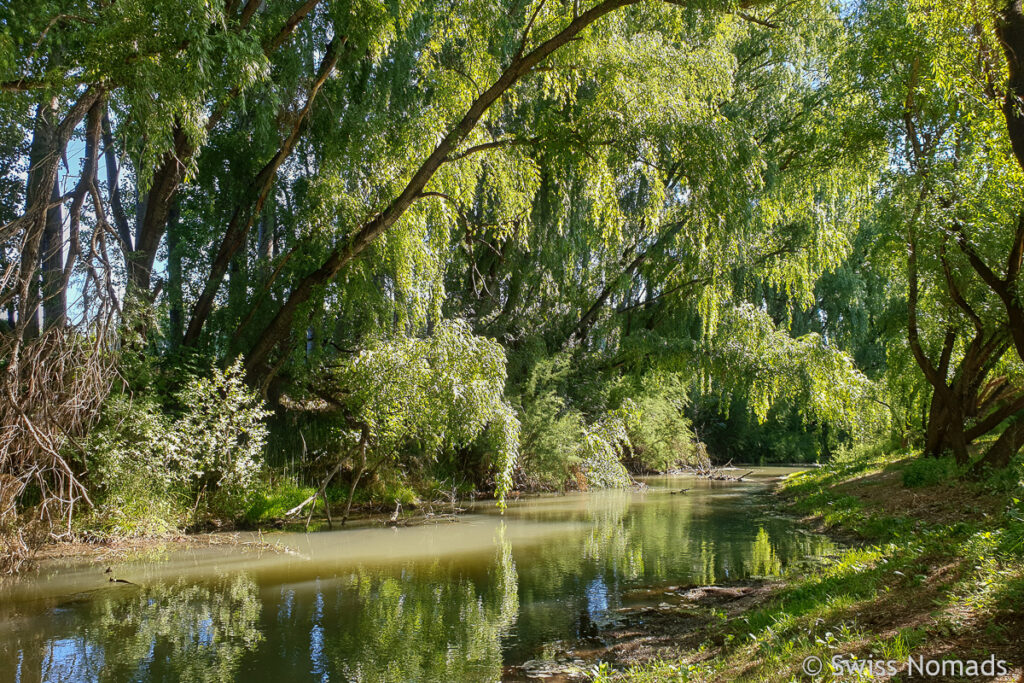 Ceferino Municipal Park in Chimpay